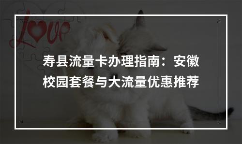 寿县流量卡办理指南：安徽校园套餐与大流量优惠推荐
