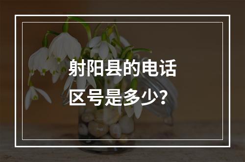 射阳县的电话区号是多少？