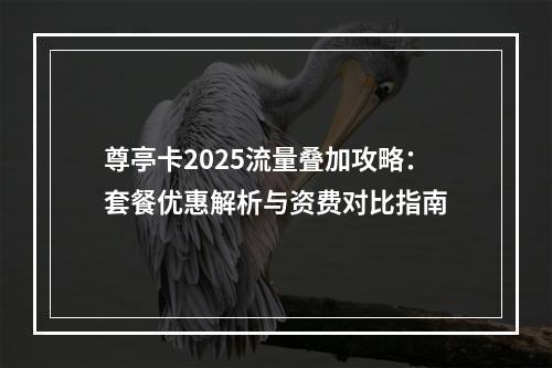 尊亭卡2025流量叠加攻略：套餐优惠解析与资费对比指南