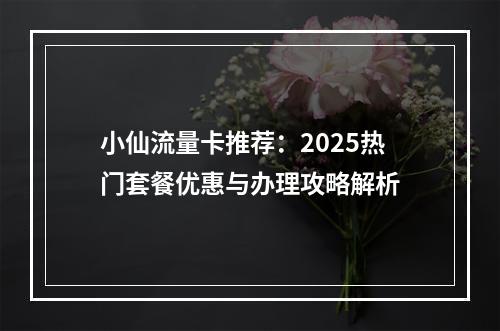 小仙流量卡推荐：2025热门套餐优惠与办理攻略解析