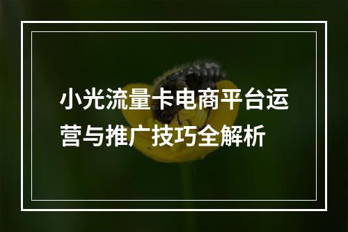 小光流量卡电商平台运营与推广技巧全解析