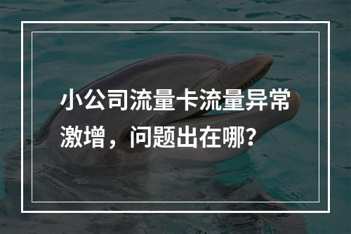 小公司流量卡流量异常激增，问题出在哪？
