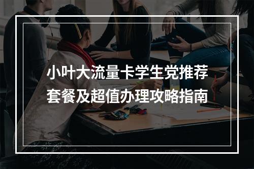 小叶大流量卡学生党推荐套餐及超值办理攻略指南
