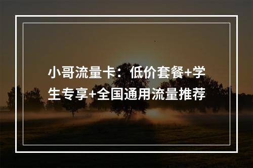 小哥流量卡：低价套餐+学生专享+全国通用流量推荐