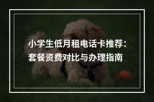 小学生低月租电话卡推荐：套餐资费对比与办理指南