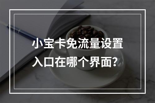 小宝卡免流量设置入口在哪个界面？