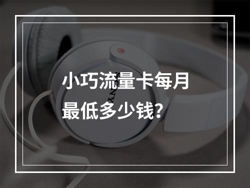 小巧流量卡每月最低多少钱？
