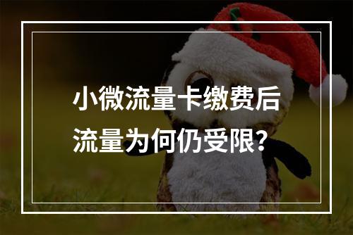 小微流量卡缴费后流量为何仍受限？