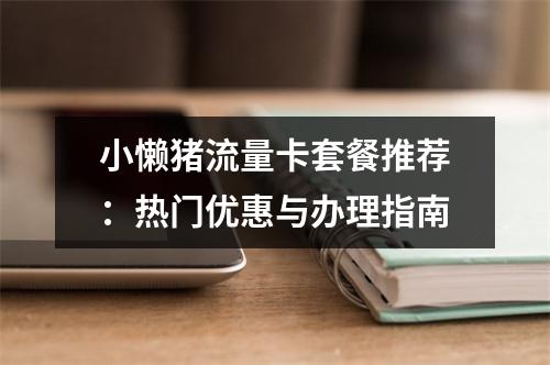 小懒猪流量卡套餐推荐：热门优惠与办理指南