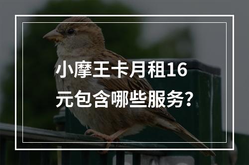 小摩王卡月租16元包含哪些服务？