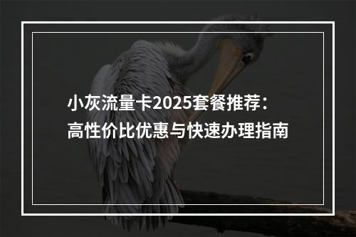 小灰流量卡2025套餐推荐：高性价比优惠与快速办理指南