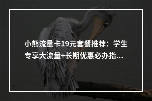 小熊流量卡19元套餐推荐：学生专享大流量+长期优惠必办指南