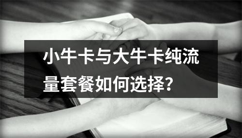 小牛卡与大牛卡纯流量套餐如何选择？