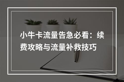 小牛卡流量告急必看：续费攻略与流量补救技巧