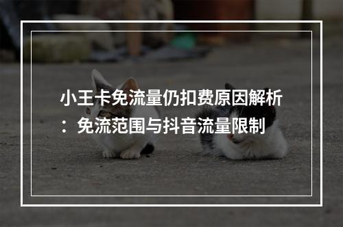 小王卡免流量仍扣费原因解析：免流范围与抖音流量限制