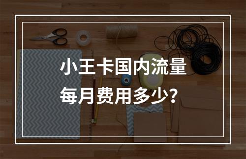 小王卡国内流量每月费用多少？