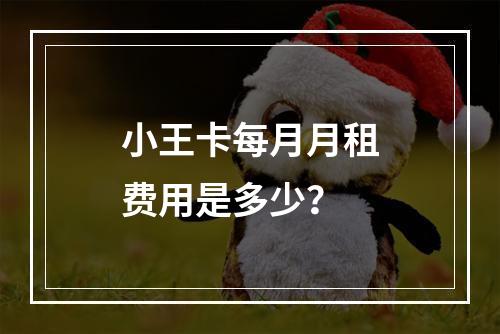 小王卡每月月租费用是多少？