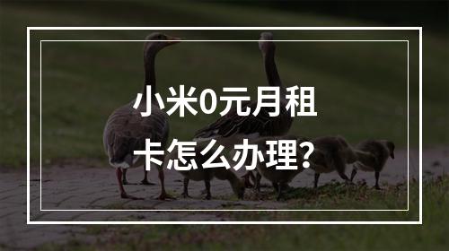 小米0元月租卡怎么办理？