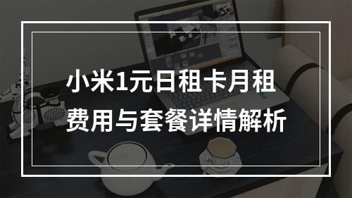 小米1元日租卡月租费用与套餐详情解析