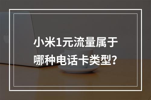 小米1元流量属于哪种电话卡类型？