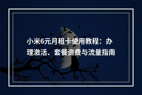 小米6元月租卡使用教程：办理激活、套餐资费与流量指南