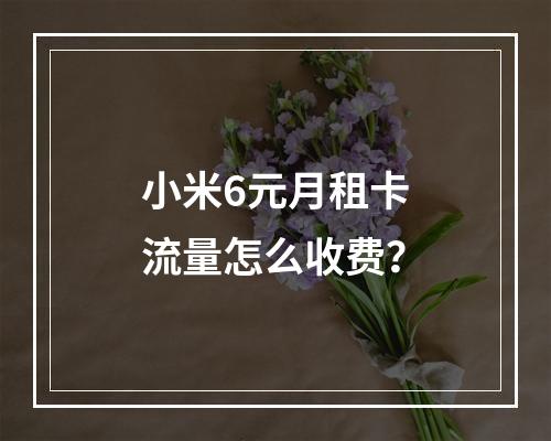 小米6元月租卡流量怎么收费？