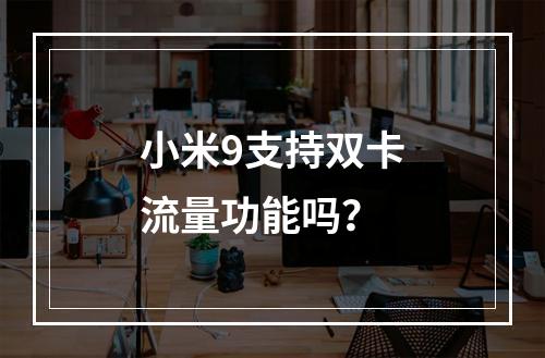 小米9支持双卡流量功能吗？