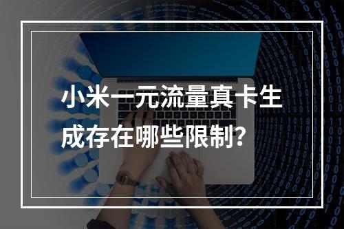 小米一元流量真卡生成存在哪些限制？
