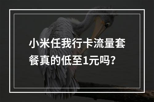 小米任我行卡流量套餐真的低至1元吗？