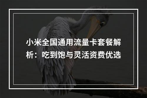 小米全国通用流量卡套餐解析：吃到饱与灵活资费优选
