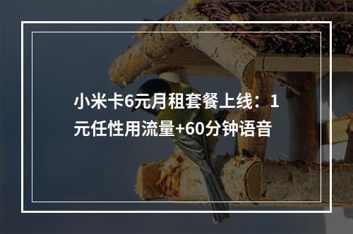 小米卡6元月租套餐上线：1元任性用流量+60分钟语音