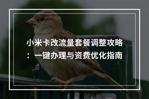 小米卡改流量套餐调整攻略：一键办理与资费优化指南