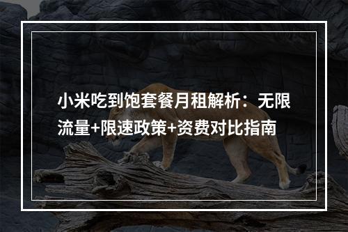 小米吃到饱套餐月租解析：无限流量+限速政策+资费对比指南