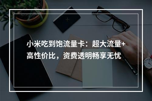 小米吃到饱流量卡：超大流量+高性价比，资费透明畅享无忧