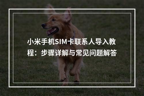 小米手机SIM卡联系人导入教程：步骤详解与常见问题解答