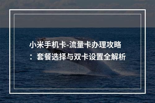 小米手机卡-流量卡办理攻略：套餐选择与双卡设置全解析