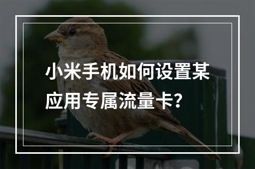 小米手机如何设置某应用专属流量卡？
