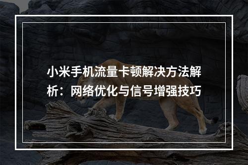 小米手机流量卡顿解决方法解析：网络优化与信号增强技巧