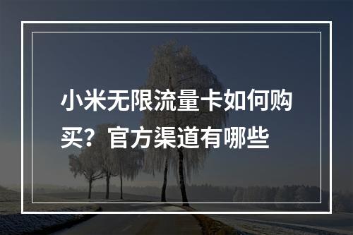 小米无限流量卡如何购买？官方渠道有哪些