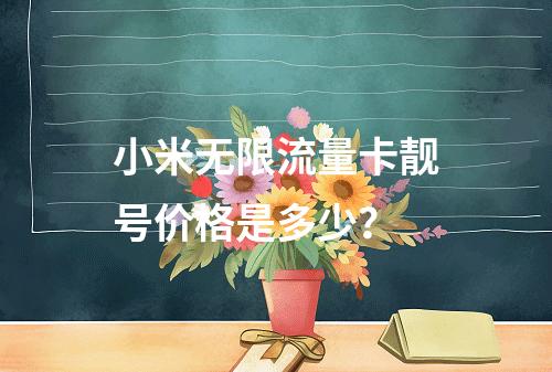 小米无限流量卡靓号价格是多少？