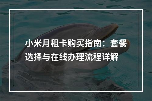 小米月租卡购买指南：套餐选择与在线办理流程详解
