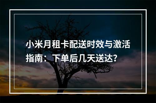 小米月租卡配送时效与激活指南：下单后几天送达？