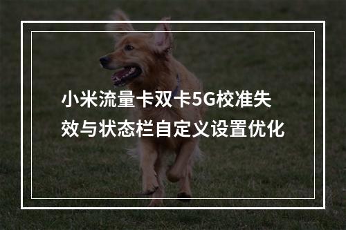 小米流量卡双卡5G校准失效与状态栏自定义设置优化