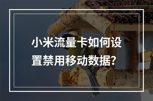 小米流量卡如何设置禁用移动数据？