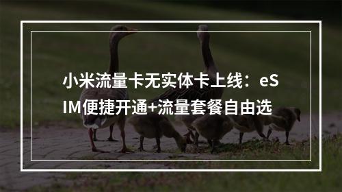 小米流量卡无实体卡上线：eSIM便捷开通+流量套餐自由选