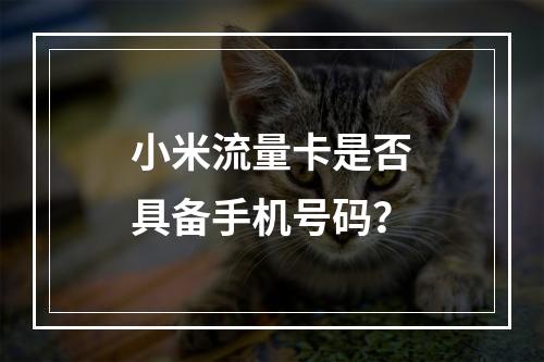 小米流量卡是否具备手机号码？