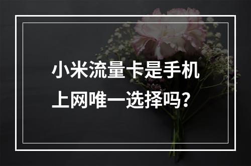 小米流量卡是手机上网唯一选择吗？