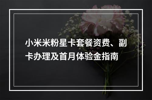小米米粉星卡套餐资费、副卡办理及首月体验金指南
