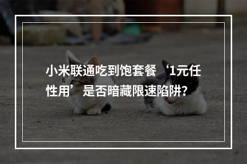 小米联通吃到饱套餐‘1元任性用’是否暗藏限速陷阱？