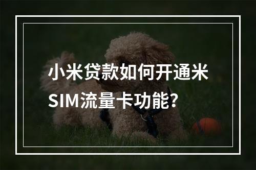 小米贷款如何开通米SIM流量卡功能？